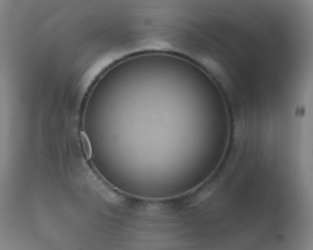 X0000112351326200908201431