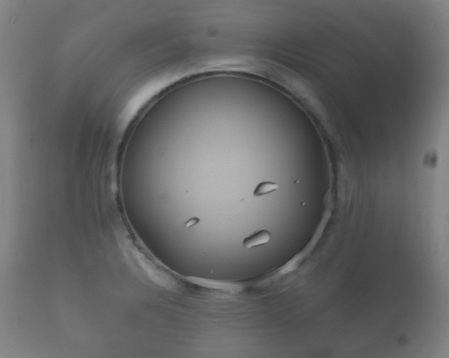 X0000112351328200908201431