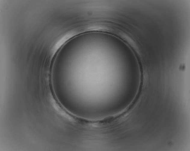 X0000112351330200908201431