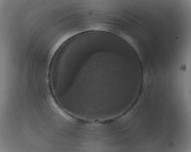 X0000112351331200908201431