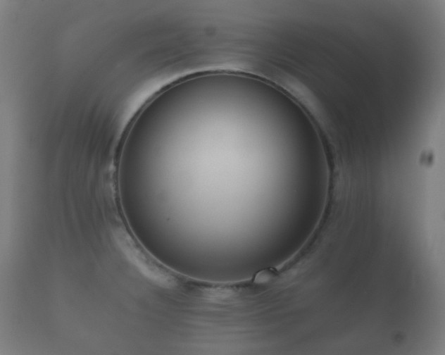 X0000112351332200908201431