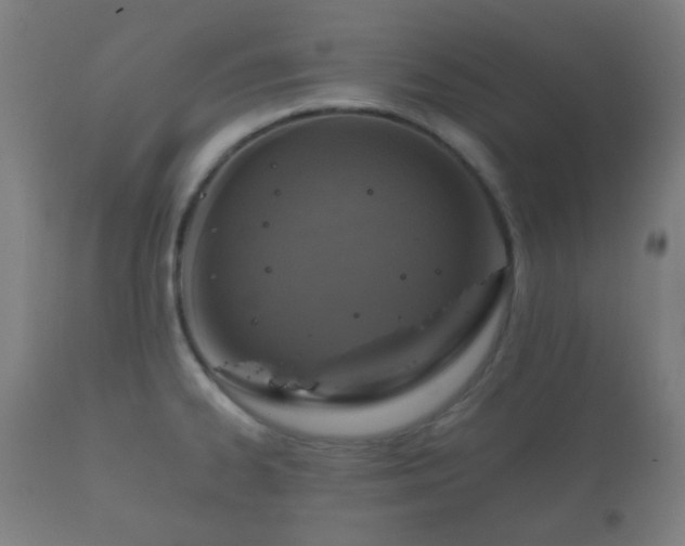 X0000112351334200908201431