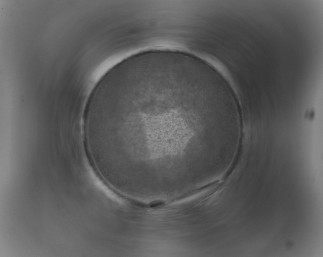 X0000112351335200908201431