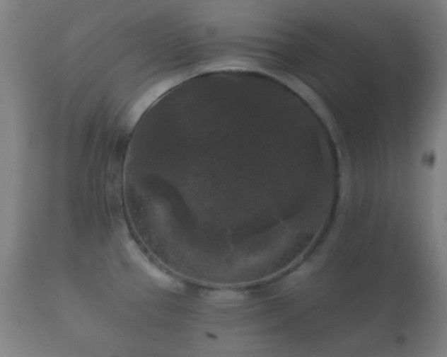X0000112351337200908201431