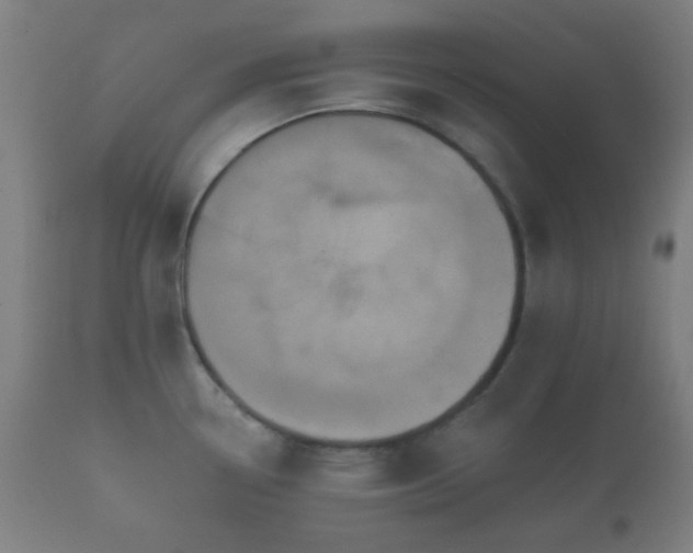 X0000112351338200908201431