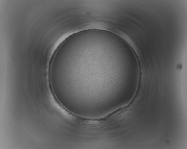X0000112351339200908201431
