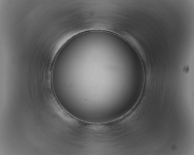 X0000112351340200908201431