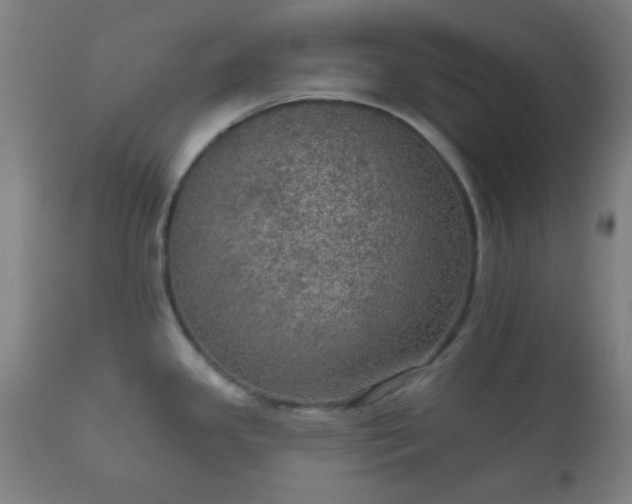 X0000112351341200908201431