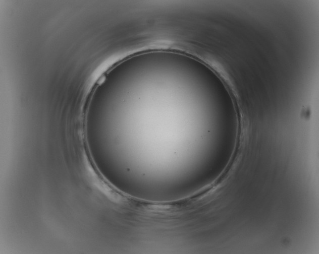 X0000112351342200908201431
