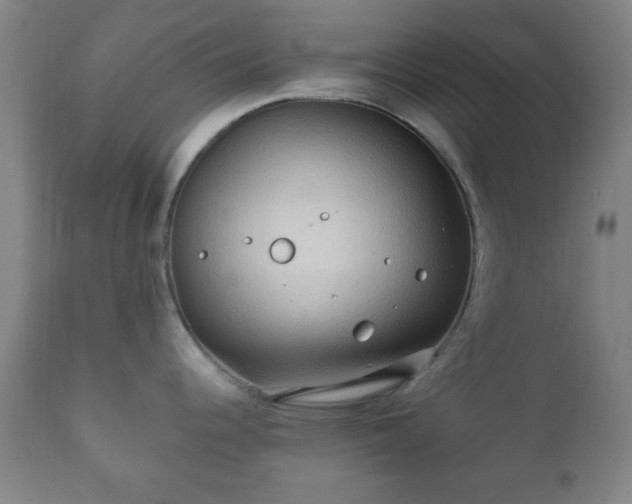 X0000112351344200908201431
