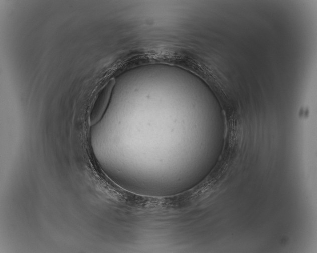 X0000112351345200908201430