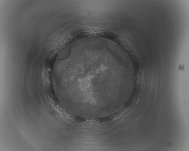 X0000112351346200908201430