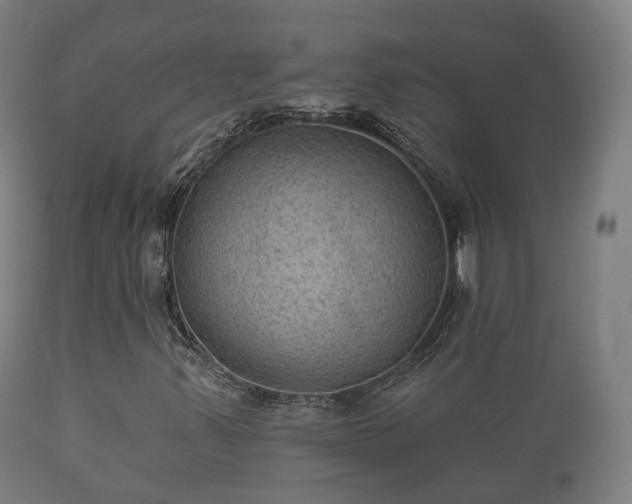 X0000112351347200908201430