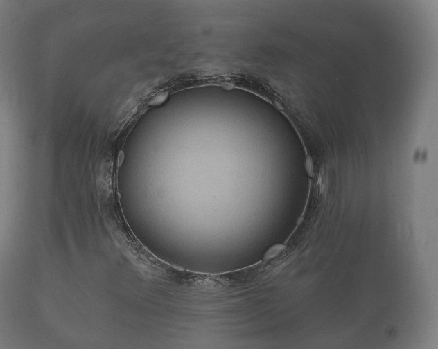 X0000112351348200908201430