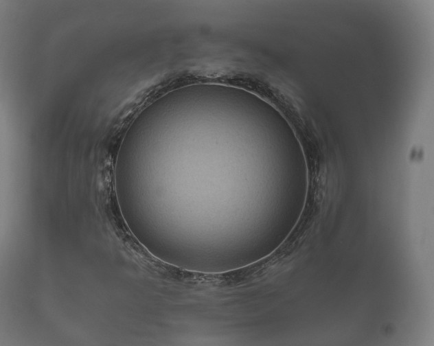 X0000112351349200908201430