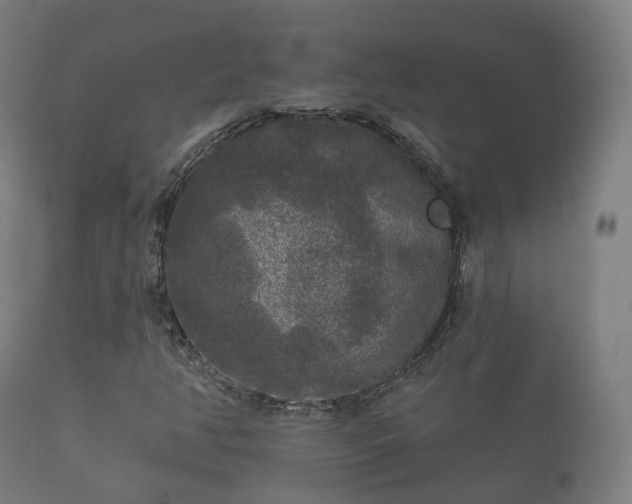 X0000112351350200908201430
