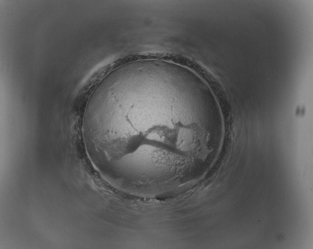 X0000112351351200908201430