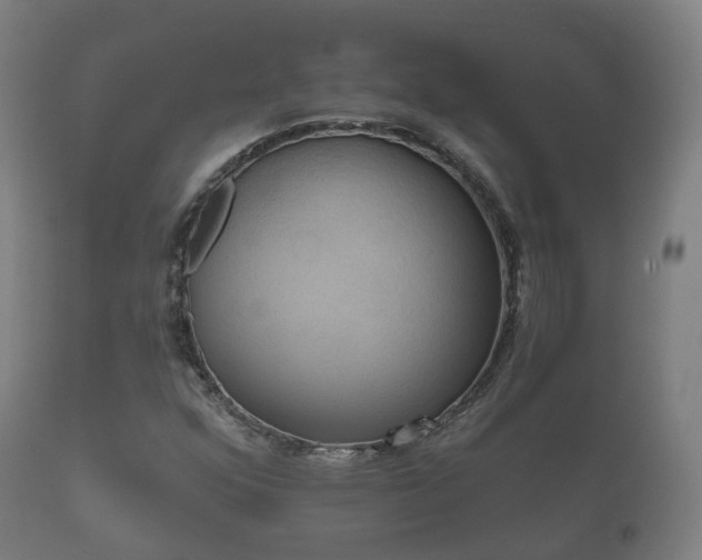 X0000112351352200908201430