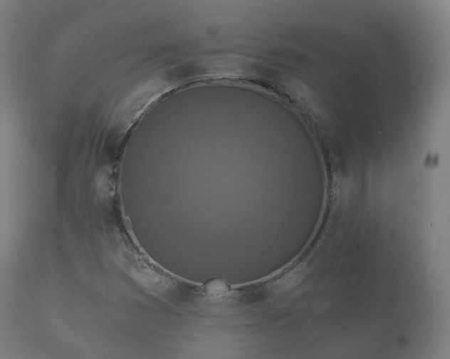 X0000112351353200908201430