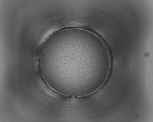 X0000112351355200908201430