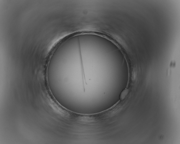 X0000112351356200908201430