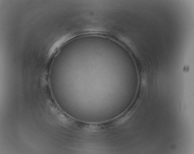 X0000112351357200908201430