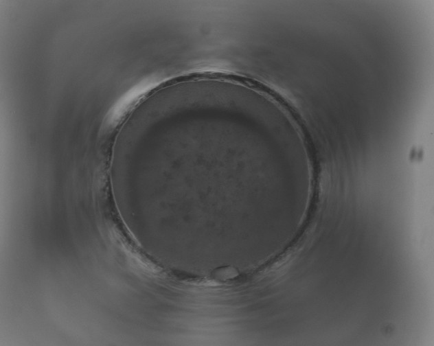 X0000112351359200908201430