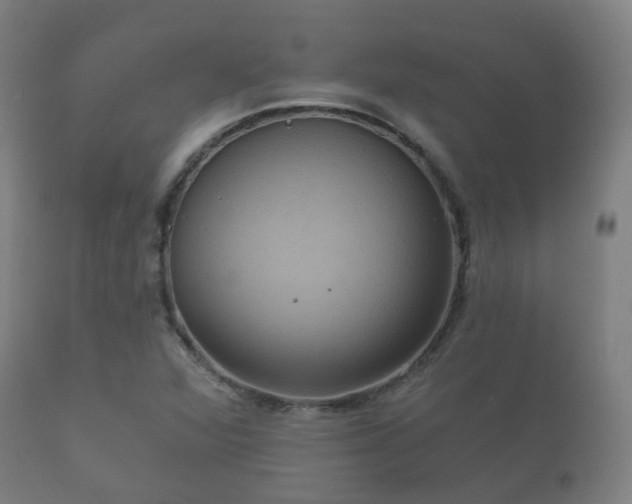 X0000112351360200908201430