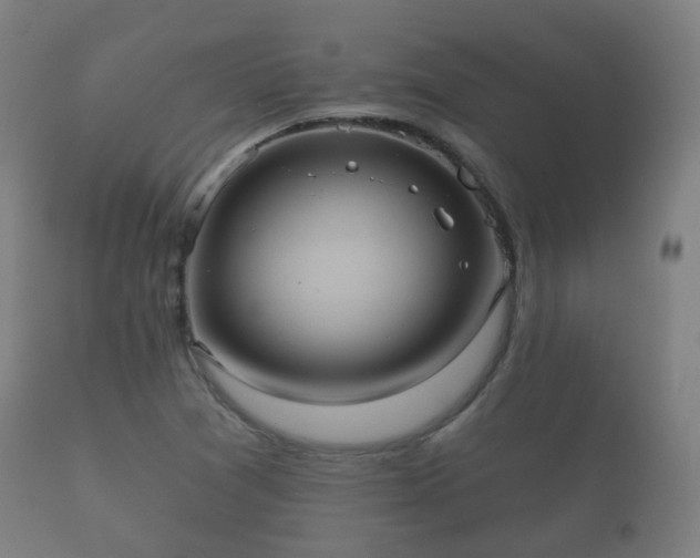 X0000112351361200908201430