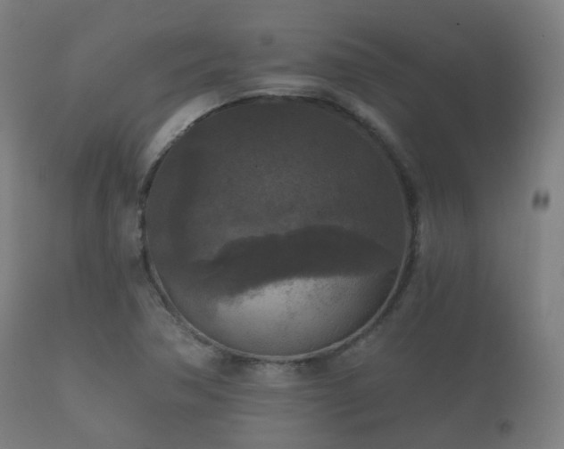 X0000112351362200908201430
