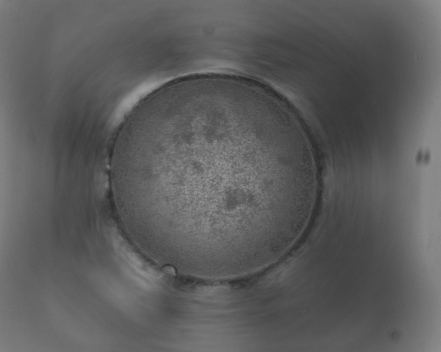 X0000112351363200908201430