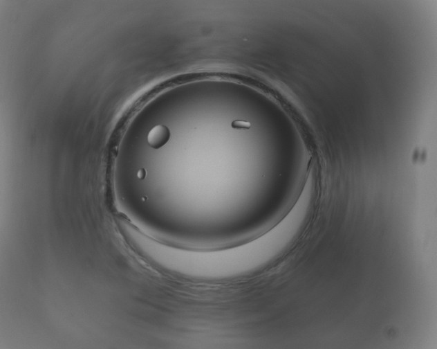 X0000112351364200908201430