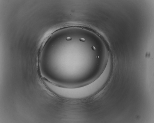 X0000112351365200908201430