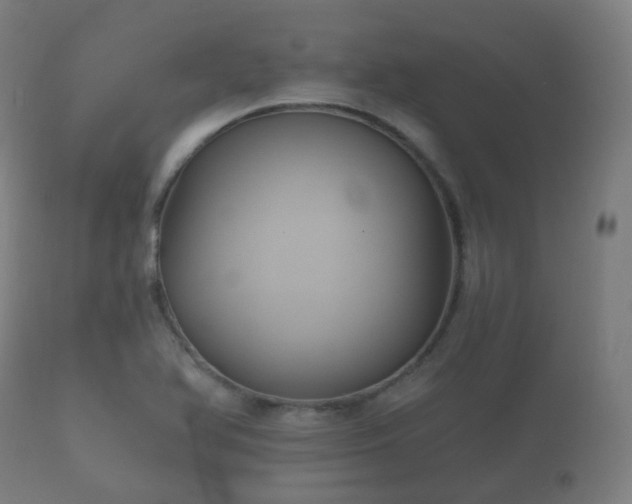 X0000112351366200908201430