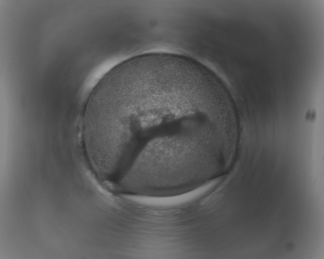 X0000112351367200908201430