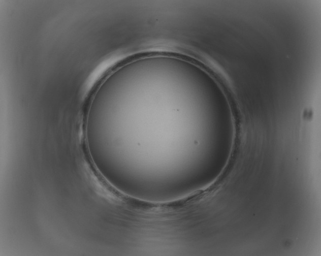 X0000112351368200908201430
