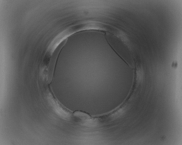 X0000112351369200908201430