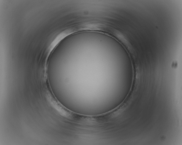 X0000112351370200908201430