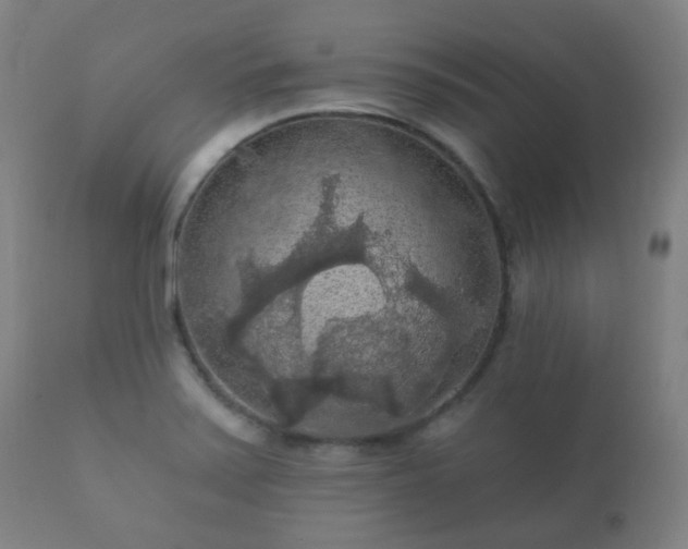 X0000112351371200908201430