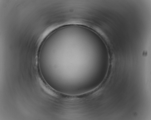 X0000112351372200908201430