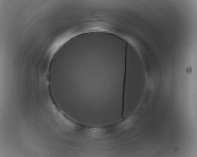 X0000112351373200908201430