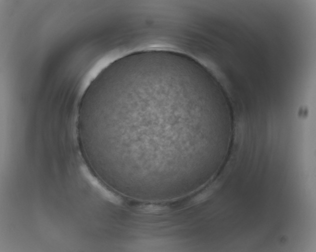 X0000112351374200908201430