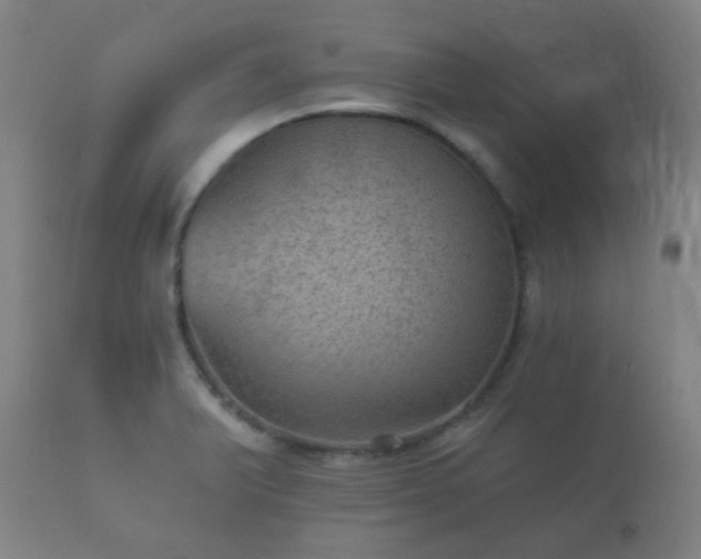 X0000112351375200908201430