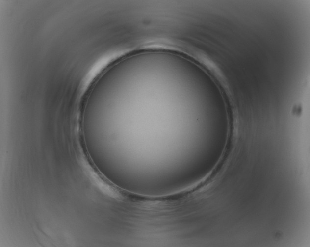 X0000112351376200908201430
