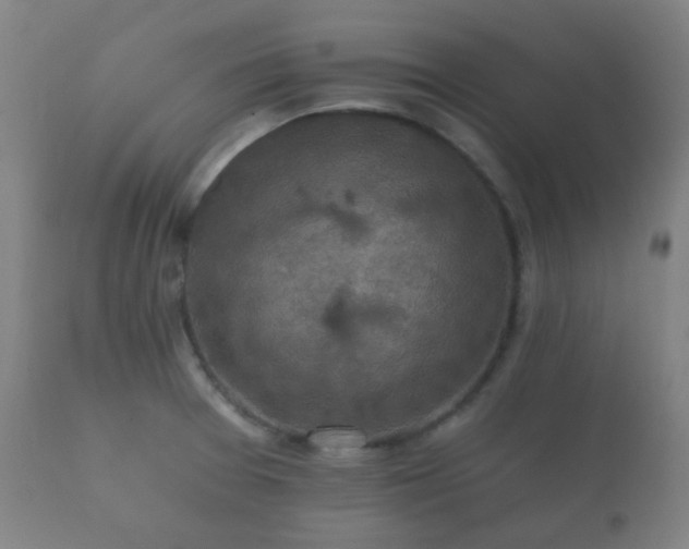 X0000112351377200908201430