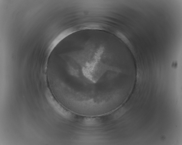 X0000112351378200908201430