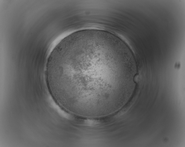 X0000112351379200908201430
