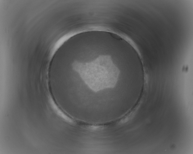 X0000112351381200908201430