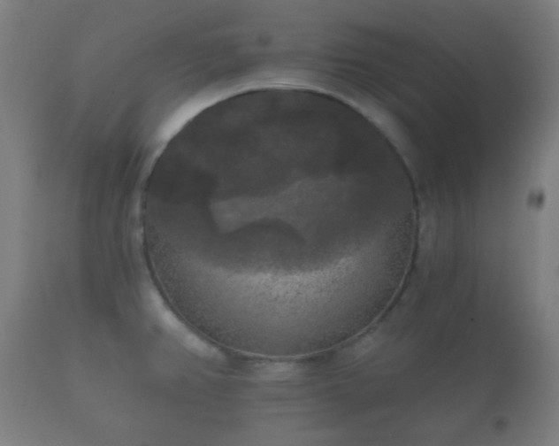 X0000112351382200908201430