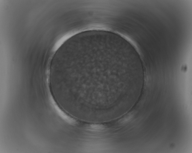 X0000112351383200908201430